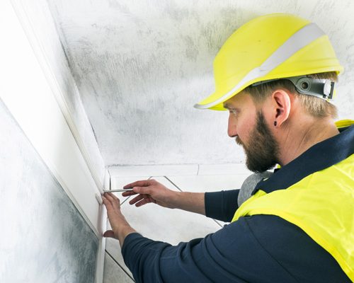 Corporate & Administrative Renovation